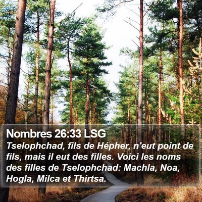 Nombres 26:33 LSG Bible Verse Image