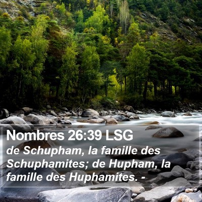 Nombres 26:39 LSG Bible Verse Image