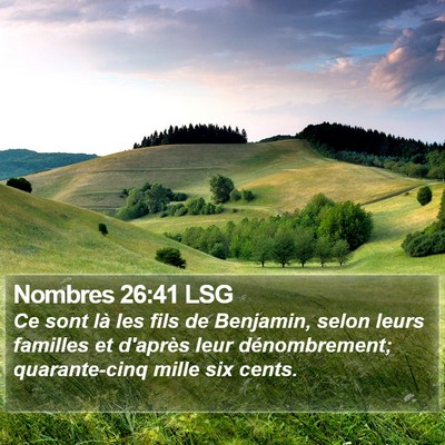 Nombres 26:41 LSG Bible Verse Image