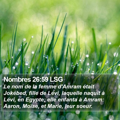 Nombres 26:59 LSG Bible Verse Image