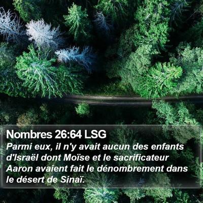 Nombres 26:64 LSG Bible Verse Image