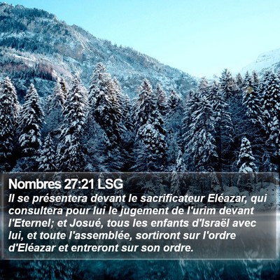 Nombres 27:21 LSG Bible Verse Image