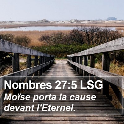Nombres 27:5 LSG Bible Verse Image
