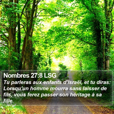 Nombres 27:8 LSG Bible Verse Image