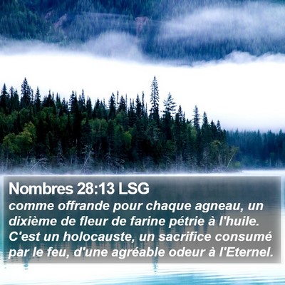 Nombres 28:13 LSG Bible Verse Image