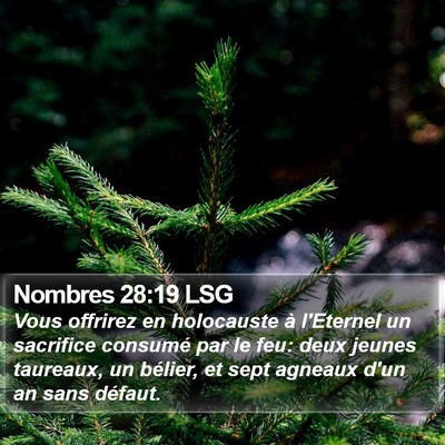 Nombres 28:19 LSG Bible Verse Image