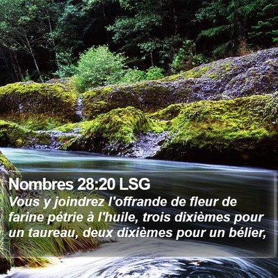 Nombres 28:20 LSG Bible Verse Image
