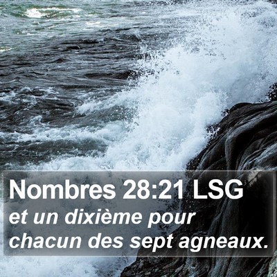 Nombres 28:21 LSG Bible Verse Image
