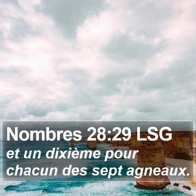Nombres 28:29 LSG Bible Verse Image