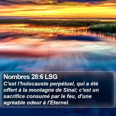 Nombres 28:6 LSG Bible Verse Image