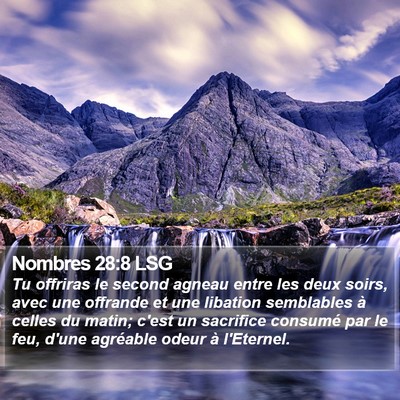 Nombres 28:8 LSG Bible Verse Image