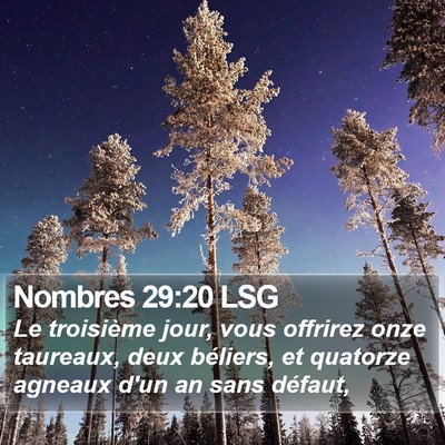 Nombres 29:20 LSG Bible Verse Image