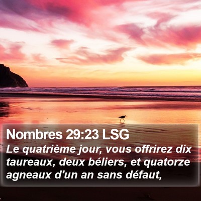 Nombres 29:23 LSG Bible Verse Image