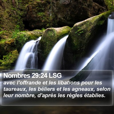 Nombres 29:24 LSG Bible Verse Image