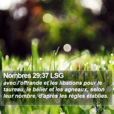 Nombres 29:37 LSG Bible Verse Image