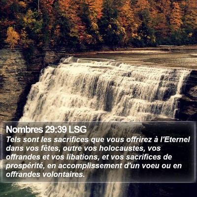 Nombres 29:39 LSG Bible Verse Image