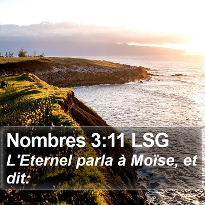 Nombres 3:11 LSG Bible Verse Image