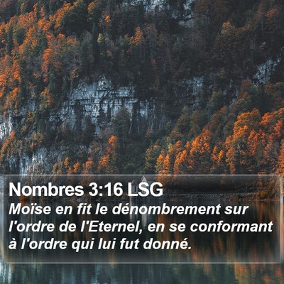 Nombres 3:16 LSG Bible Verse Image