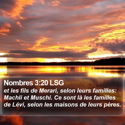 Nombres 3:20 LSG Bible Verse Image