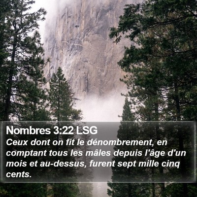 Nombres 3:22 LSG Bible Verse Image