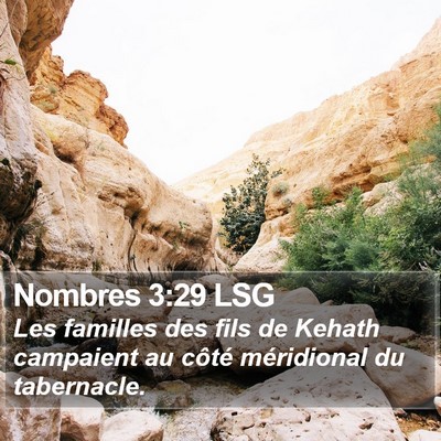 Nombres 3:29 LSG Bible Verse Image
