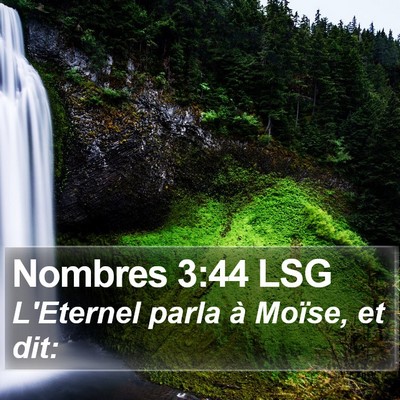 Nombres 3:44 LSG Bible Verse Image