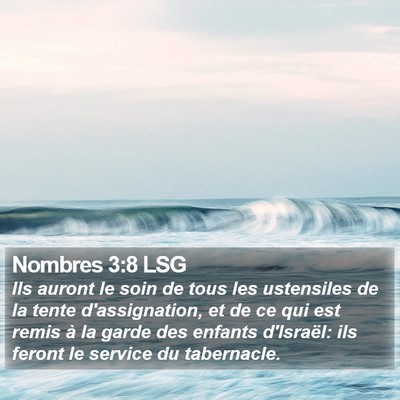 Nombres 3:8 LSG Bible Verse Image