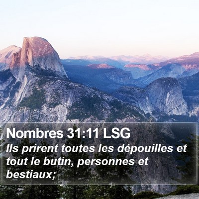 Nombres 31:11 LSG Bible Verse Image