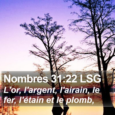 Nombres 31:22 LSG Bible Verse Image