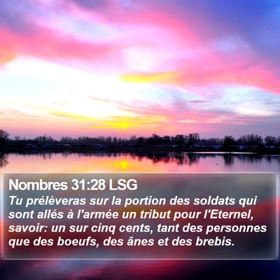 Nombres 31:28 LSG Bible Verse Image