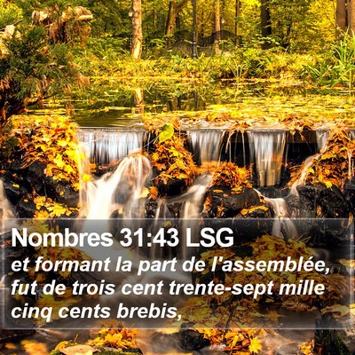Nombres 31:43 LSG Bible Verse Image