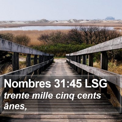 Nombres 31:45 LSG Bible Verse Image