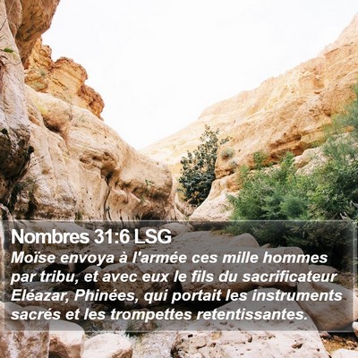 Nombres 31:6 LSG Bible Verse Image