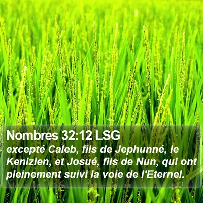 Nombres 32:12 LSG Bible Verse Image
