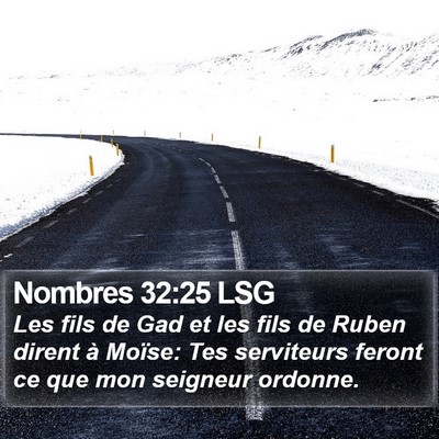 Nombres 32:25 LSG Bible Verse Image