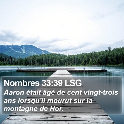 Nombres 33:39 LSG Bible Verse Image