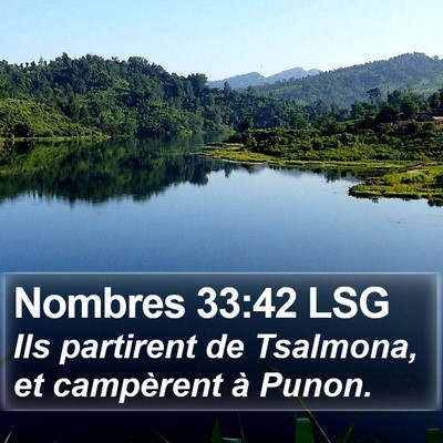 Nombres 33:42 LSG Bible Verse Image
