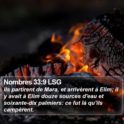 Nombres 33:9 LSG Bible Verse Image
