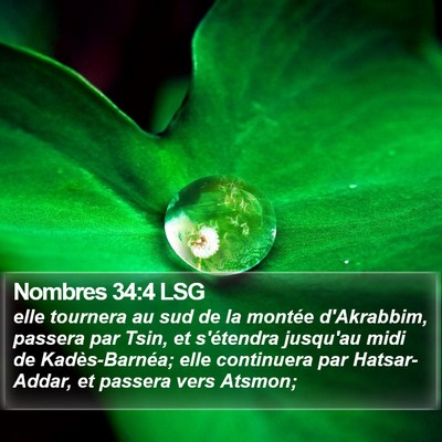 Nombres 34:4 LSG Bible Verse Image