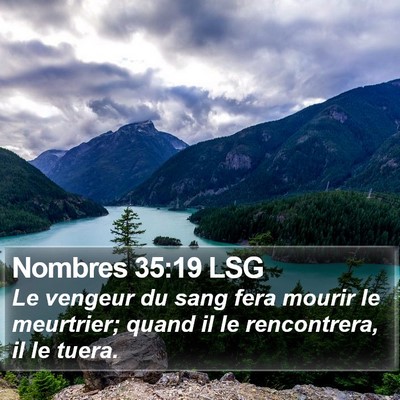 Nombres 35:19 LSG Bible Verse Image