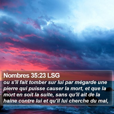 Nombres 35:23 LSG Bible Verse Image