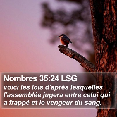 Nombres 35:24 LSG Bible Verse Image