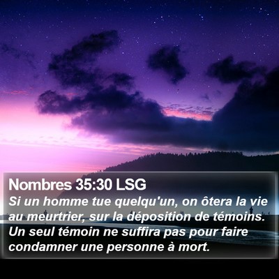Nombres 35:30 LSG Bible Verse Image