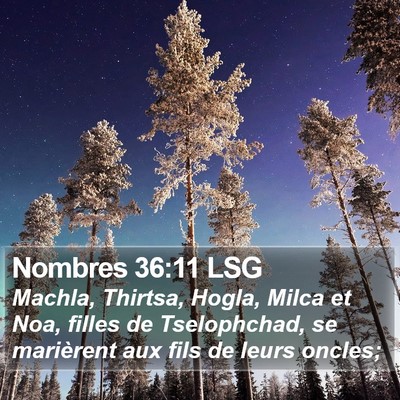 Nombres 36:11 LSG Bible Verse Image