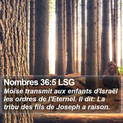 Nombres 36:5 LSG Bible Verse Image