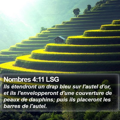 Nombres 4:11 LSG Bible Verse Image