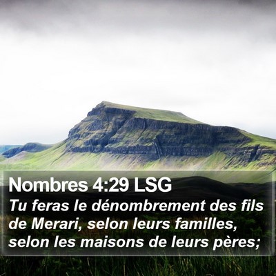 Nombres 4:29 LSG Bible Verse Image