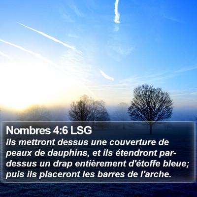 Nombres 4:6 LSG Bible Verse Image
