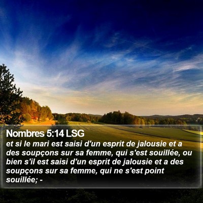 Nombres 5:14 LSG Bible Verse Image
