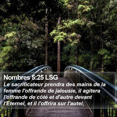 Nombres 5:25 LSG Bible Verse Image